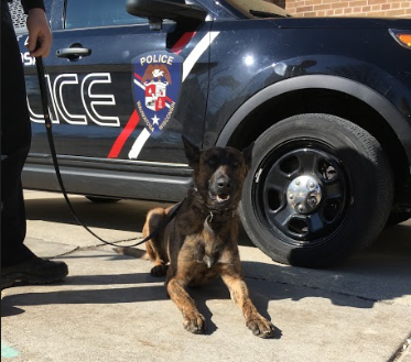Canine unit Zev and his handler, Wauwatosa Police Officer Ben Ziegler