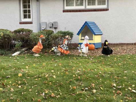 The geese dressed up in their Halloween costumes.