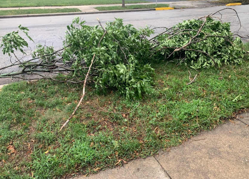 These pictures show fallen branches and debris that caused problems for many residents of Wauwatosa. 