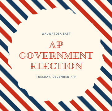 AP Government Holds Mock Election