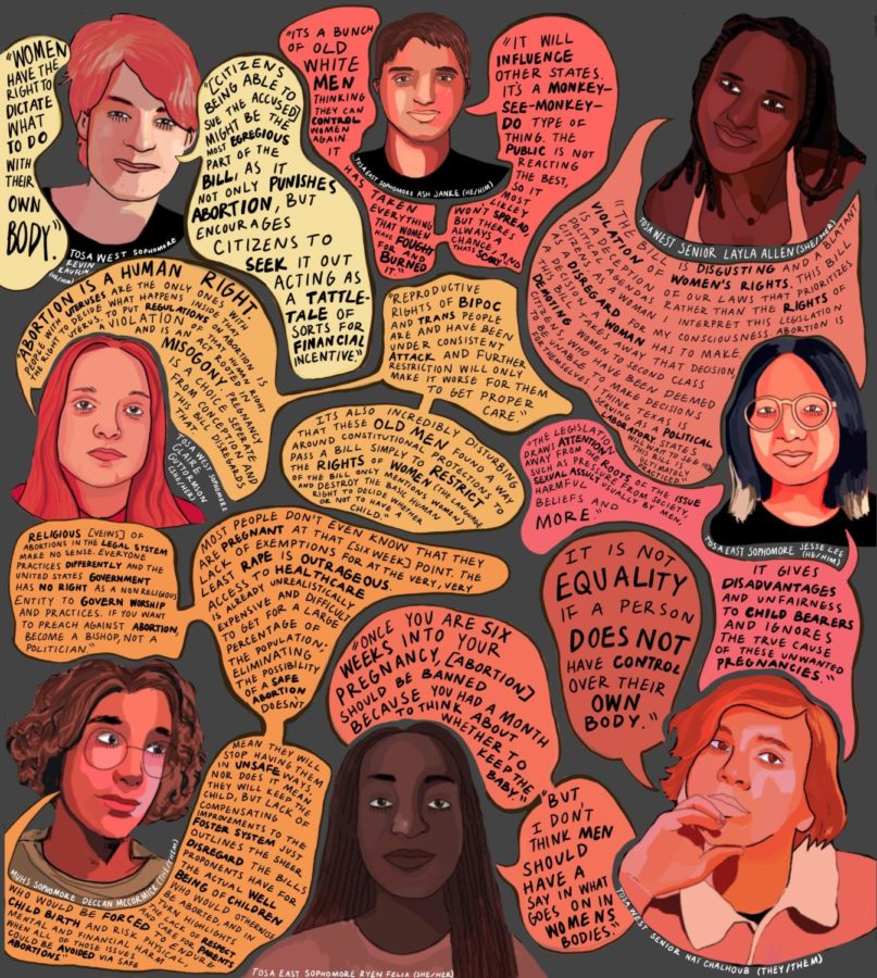 Wisconsin Teen's Speak Out About Abortion graphic by Evelyn Skyberg Greer 