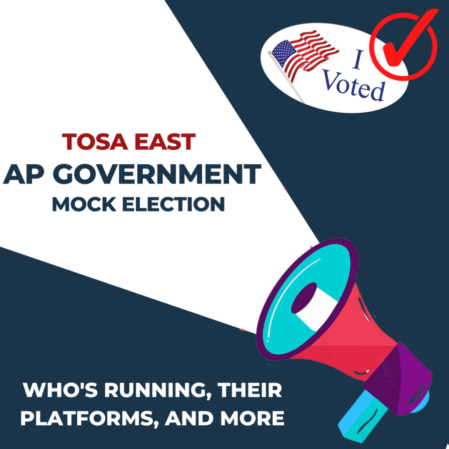 AP+Government+Holds+Mock+Election