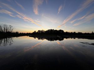Escaping the Stress: How Fishing Helps Teens Unwind