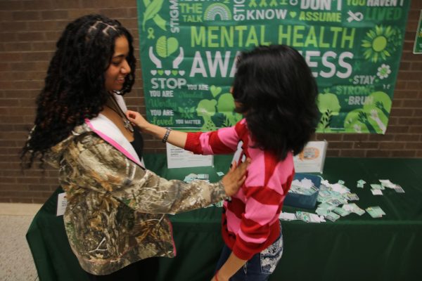 Making Mental Health Visible: Why Invisible Struggles Need Tangible Representation.